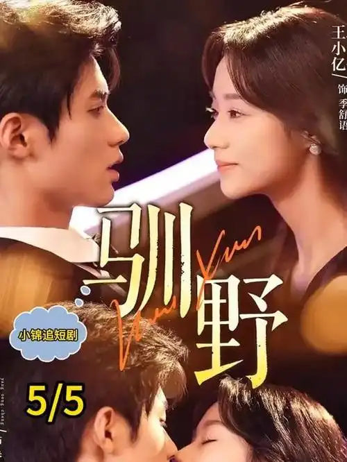 高清韩剧《第七码头的信》在线观看